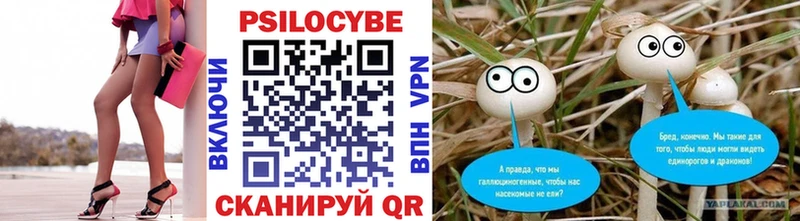 Галлюциногенные грибы прущие грибы  Арсеньев 